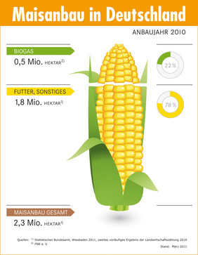 Maisanbau in Deutschland 2010; Quelle: FNR